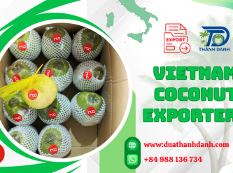 How Vietnam Coconut Exporters Ensure Freshness During International Shipping