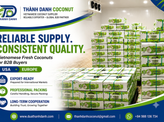 Fresh Coconut Supplier for Europe – What Importers Should Consider When Sourcing from Vietnam