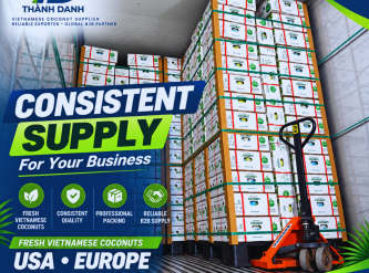 How to Plan Fresh Coconut Orders from Vietnam for International Buyers