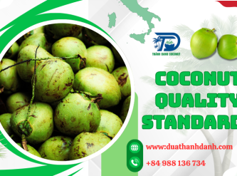 Coconut Quality Standards for Export – What Buyers Should Know