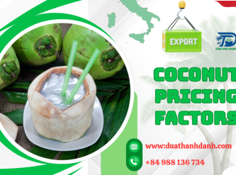 Coconut Pricing Factors – What Affects Coconut Prices in Global Markets