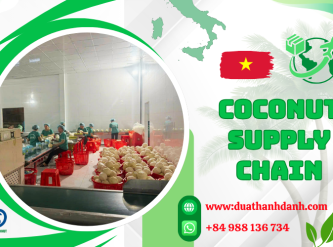 Vietnam Coconut Supply Chain Expands to Meet Rising Global Demand