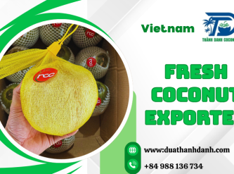 Fresh Coconut Exporter Vietnam – Reliable Supply for Global Markets