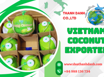 Vietnam Coconut Exporter – Bulk Supply, Market Insights &amp; Global Trade Support