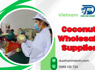 Coconut Wholesale Supplier – Bulk &amp; Export-Grade Coconut from Vietnam