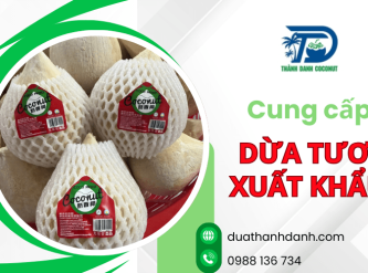 Cung cấp dừa tươi xuất khẩu theo tiêu chuẩn thị trường quốc tế