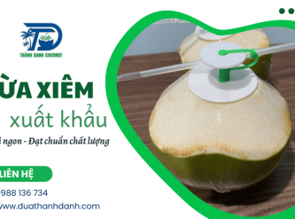 Dừa xiêm xuất khẩu tươi ngon, đạt chuẩn chất lượng - Thành Danh Coconut