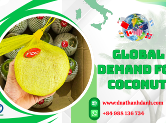 How Vietnam Ensures Premium Coconut Quality for International Export