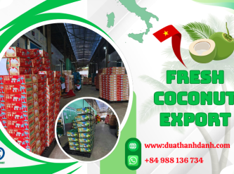 Fresh Coconut Export Standards in Vietnam – What Global Buyers Should Expect