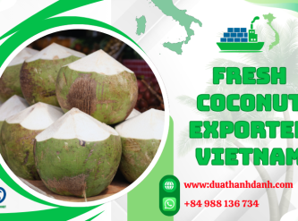 Fresh Coconut Exporter Vietnam – What International Buyers Should Know Before Choosing a Supplier