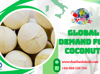 Global Demand for Coconut Products Continues to Rise – Opportunities for Vietnam Exporters