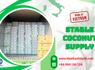 How Vietnam Maintains a Stable Coconut Supply for Global Importers