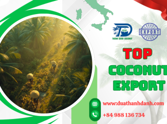 Top Coconut Export Markets of Vietnam – Trends and Global Demand