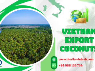 Top Coconut Export Markets – Where Vietnam Is Expanding Its Global Reach