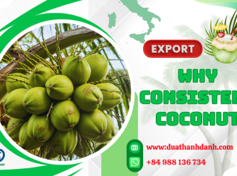 Why Consistent Coconut Supply Matters for International Buyers