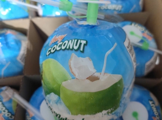Fresh Coconut Export from Vietnam to the USA – What Importers Should Know