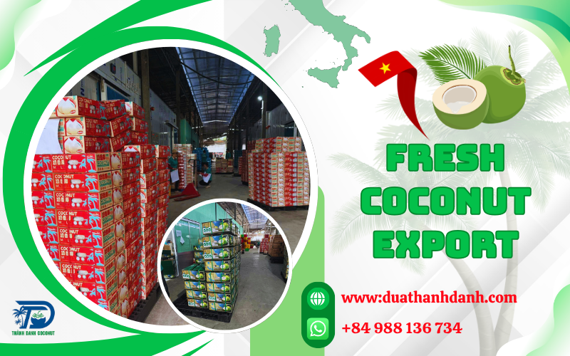 Fresh Coconut Export Standards in Vietnam | Quality & Packaging Guide