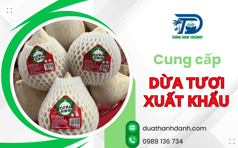 dừa tươi xuất khẩu