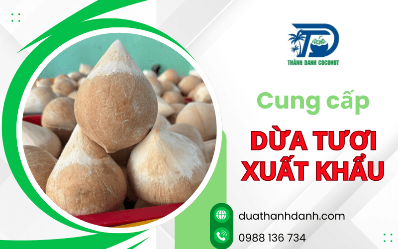 dừa tươi xuất khẩu