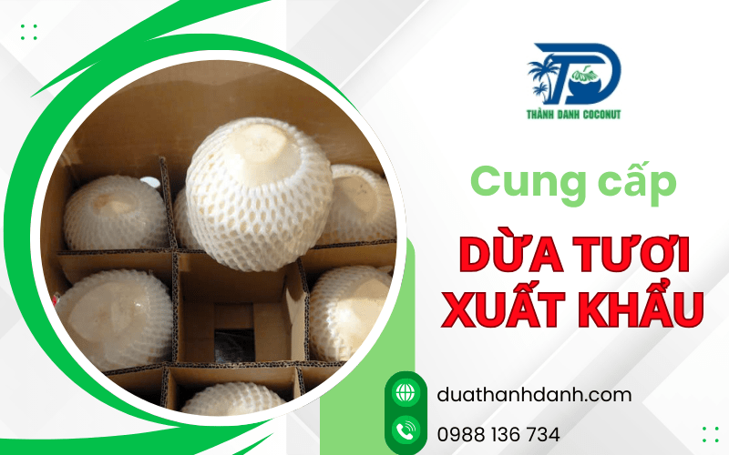 dừa tươi xuất khẩu