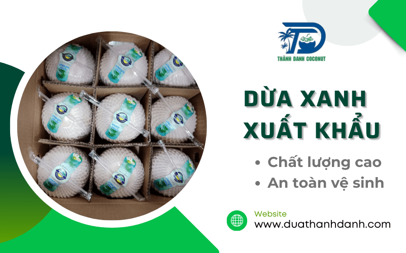 dừa xanh xuất khẩu