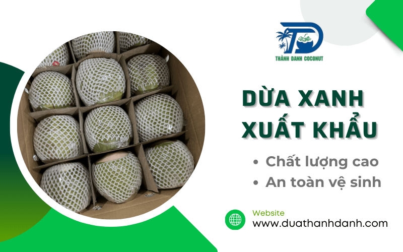 dừa xanh xuất khẩu