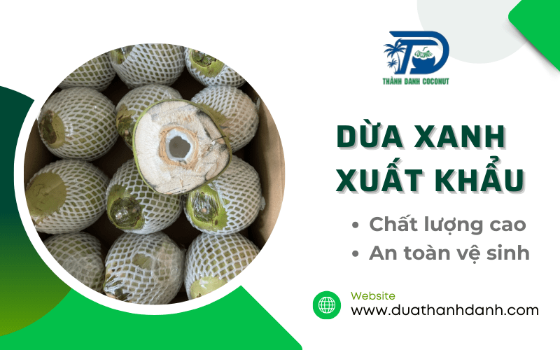 dừa xanh xuất khẩu