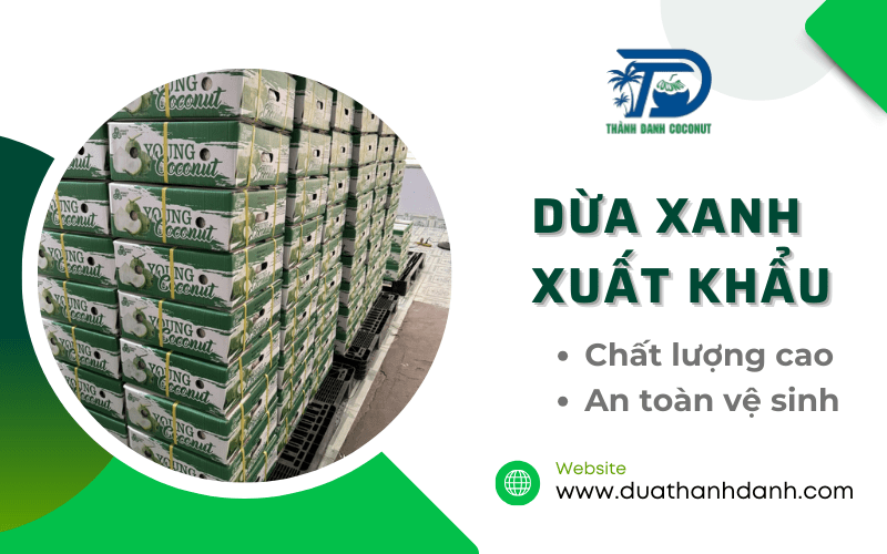 dừa xanh xuất khẩu