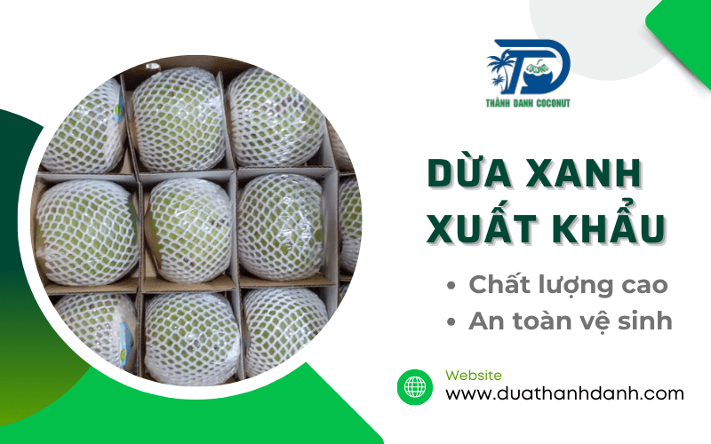 dừa xanh xuất khẩu