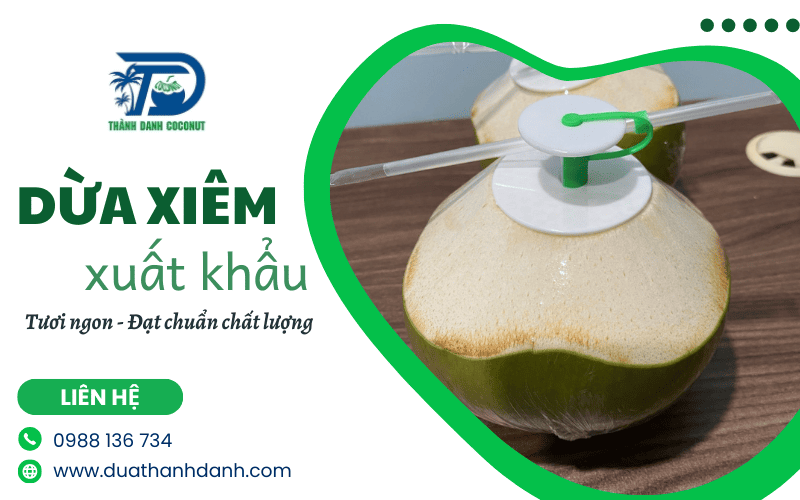 dừa xiêm xuất khẩu
