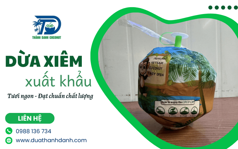 dừa xiêm xuất khẩu