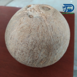 DỪA KHÔ ĐÁNH BÓNG