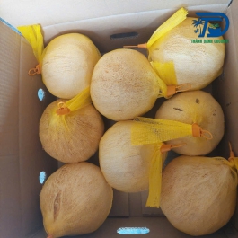 DỪA SÁP