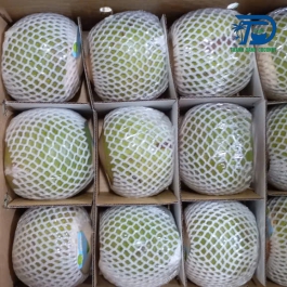 DỪA XANH NÓN LÁ