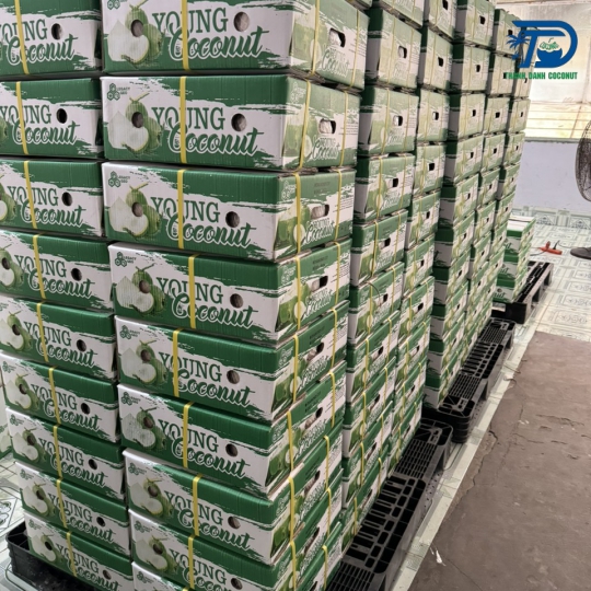 DỪA XANH XUẤT KHẨU