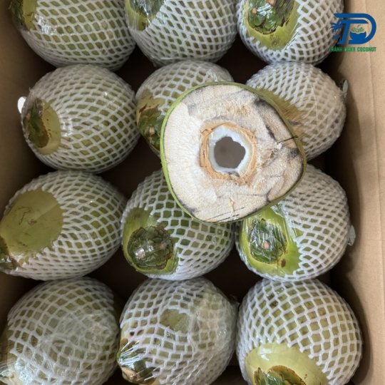 DỪA XANH XUẤT KHẨU