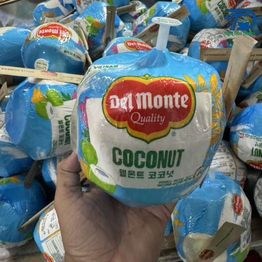 DỪA XUẤT KHẨU CÓ NÚT