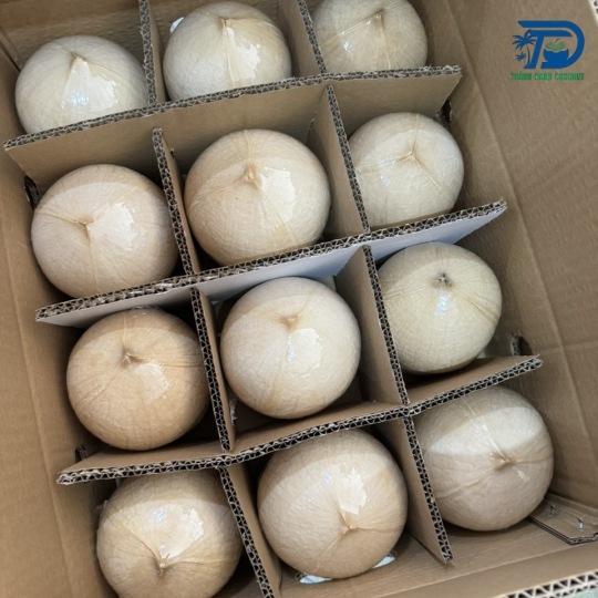 DỪA TƯƠI GIỌT NƯỚC