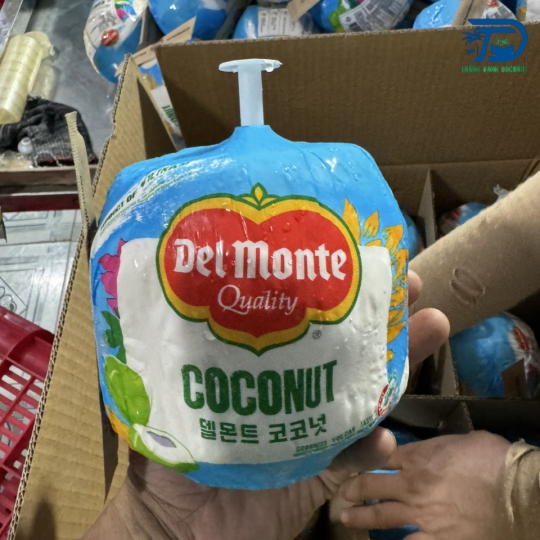DỪA XUẤT KHẨU CÓ NÚT