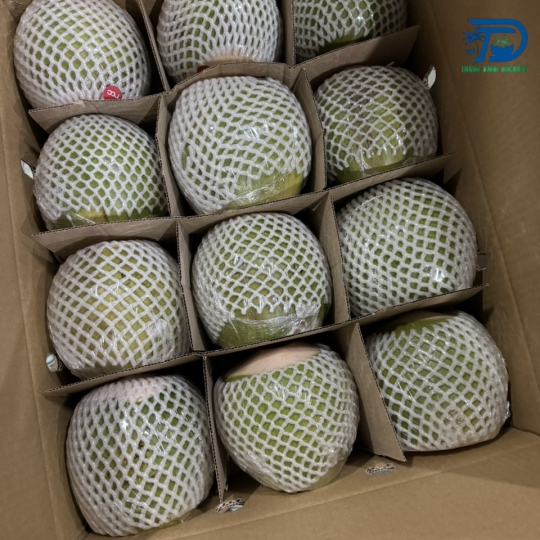 DỪA XANH XUẤT KHẨU