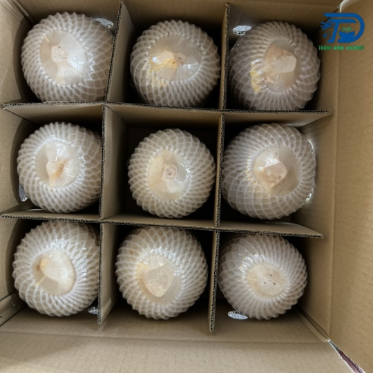 DỪA TƯƠI GIỌT NƯỚC