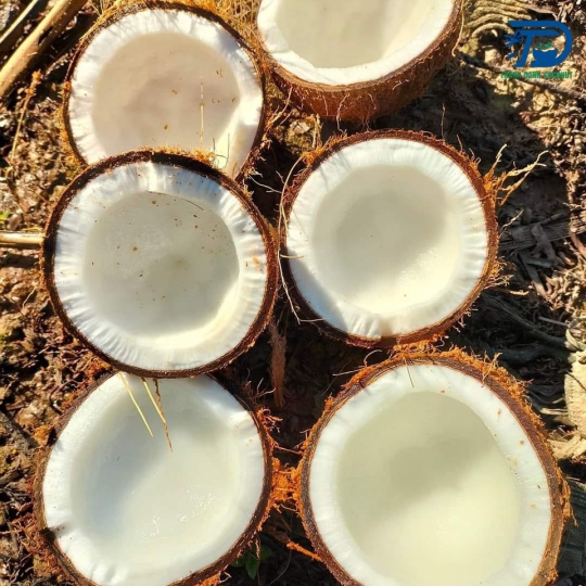 CƠM DỪA KHÔ