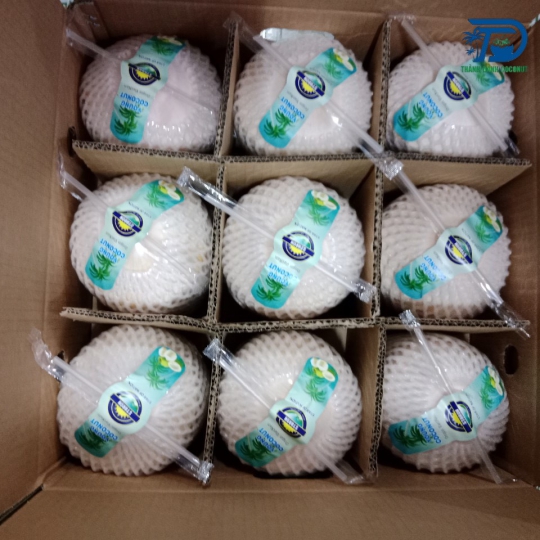 DỪA XANH XUẤT KHẨU