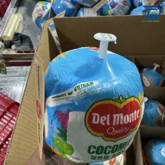 DỪA XUẤT KHẨU CÓ NÚT