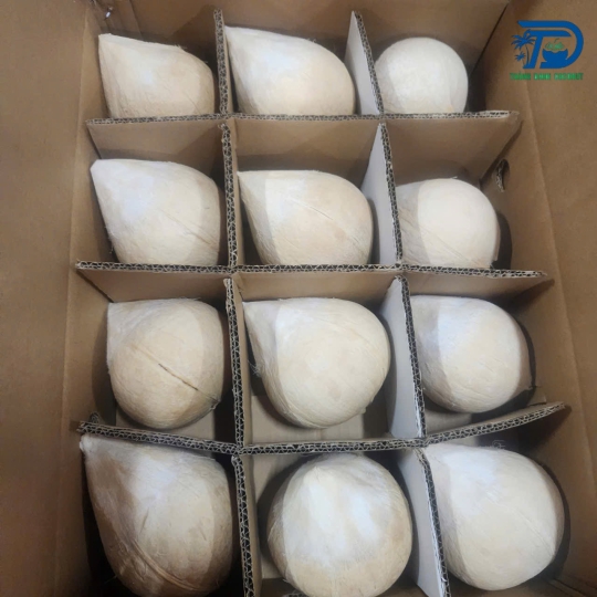 DỪA TƯƠI GIỌT NƯỚC