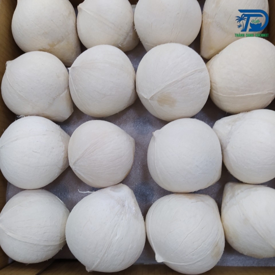 DỪA TƯƠI GIỌT NƯỚC
