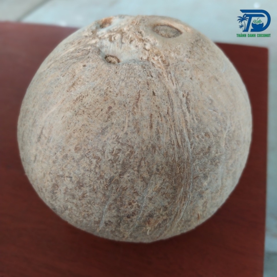 DỪA KHÔ ĐÁNH BÓNG
