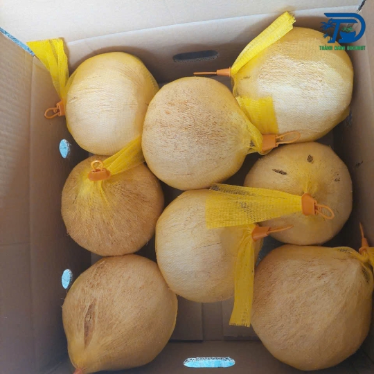 DỪA SÁP