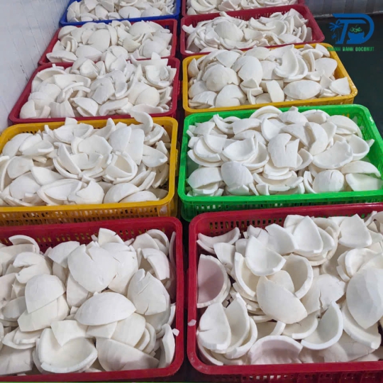 CƠM DỪA ĐÔNG LẠNH